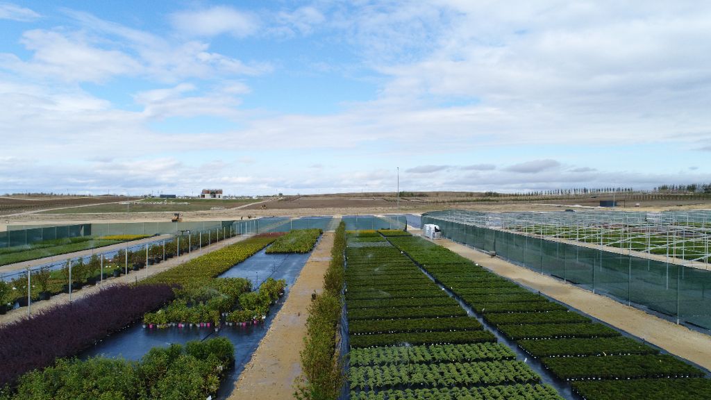 Контейнерная площадка